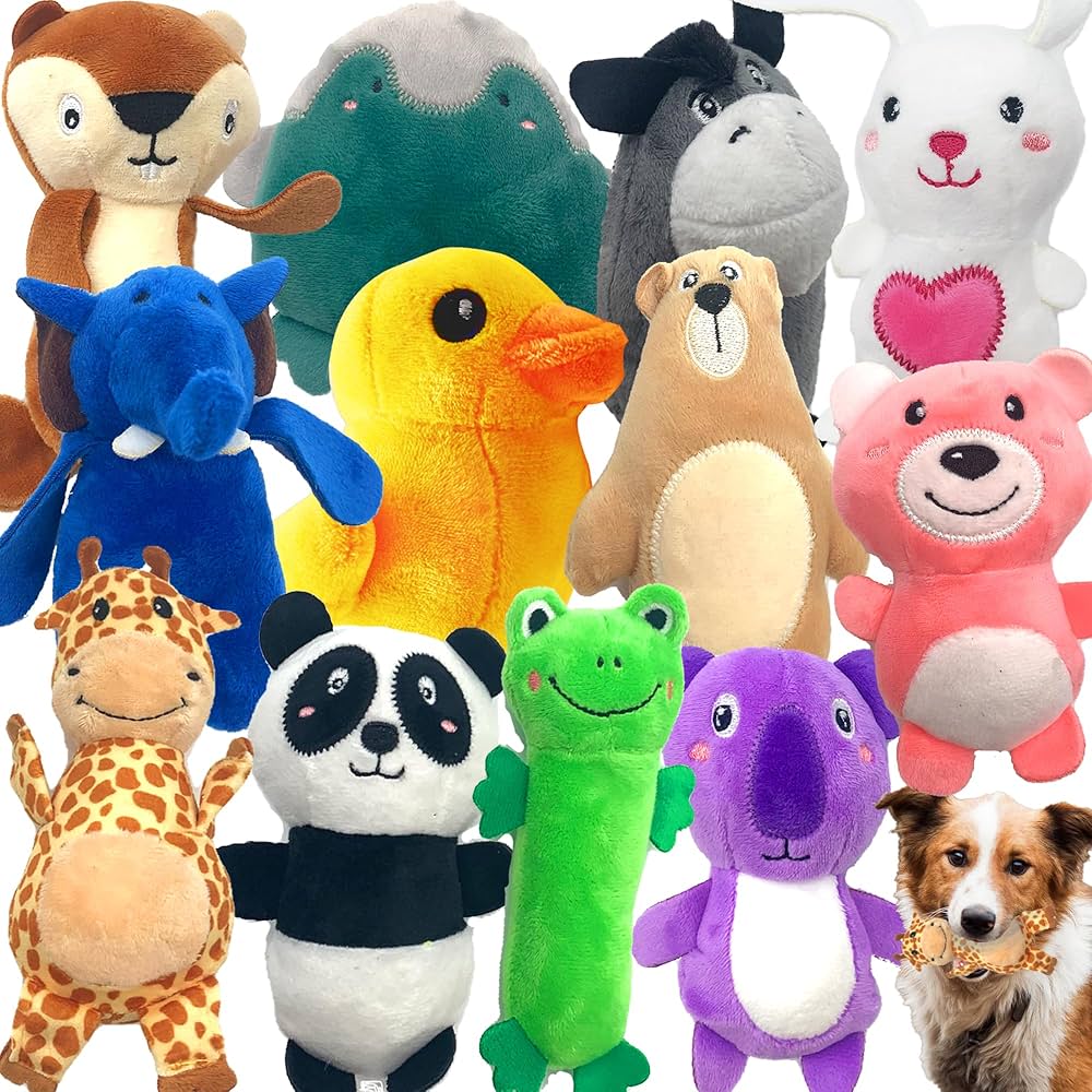 dog toy