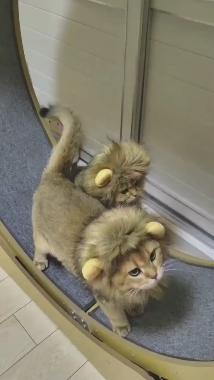 🦁 Petivo Lion Mane Costume for Cats